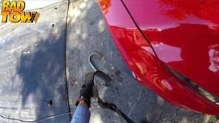 Shaved pussy blonde takes rough car sex - the best porn 24/7 on HOTSEXVIDEOS24.COM