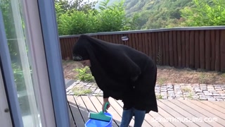 Hijab Maid Licky Lex Makes Her Boss Happy - the best porn 24/7 on HOTSEXVIDEOS24.COM