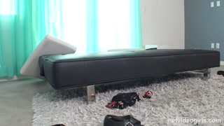 Hot Brunette Veronica - Stockings & Shaved Pussy Casting - หนังโป๊ที่ดีที่สุด 24/7 บน HOTSEXVIDEOS24.COM