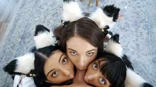 Threesome and Foursome Swapping Fun - the best porn 24/7 on HOTSEXVIDEOS24.COM